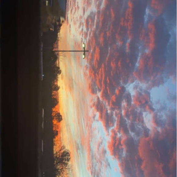 Meet your Posher, Yaylin - Picture 1 of 1